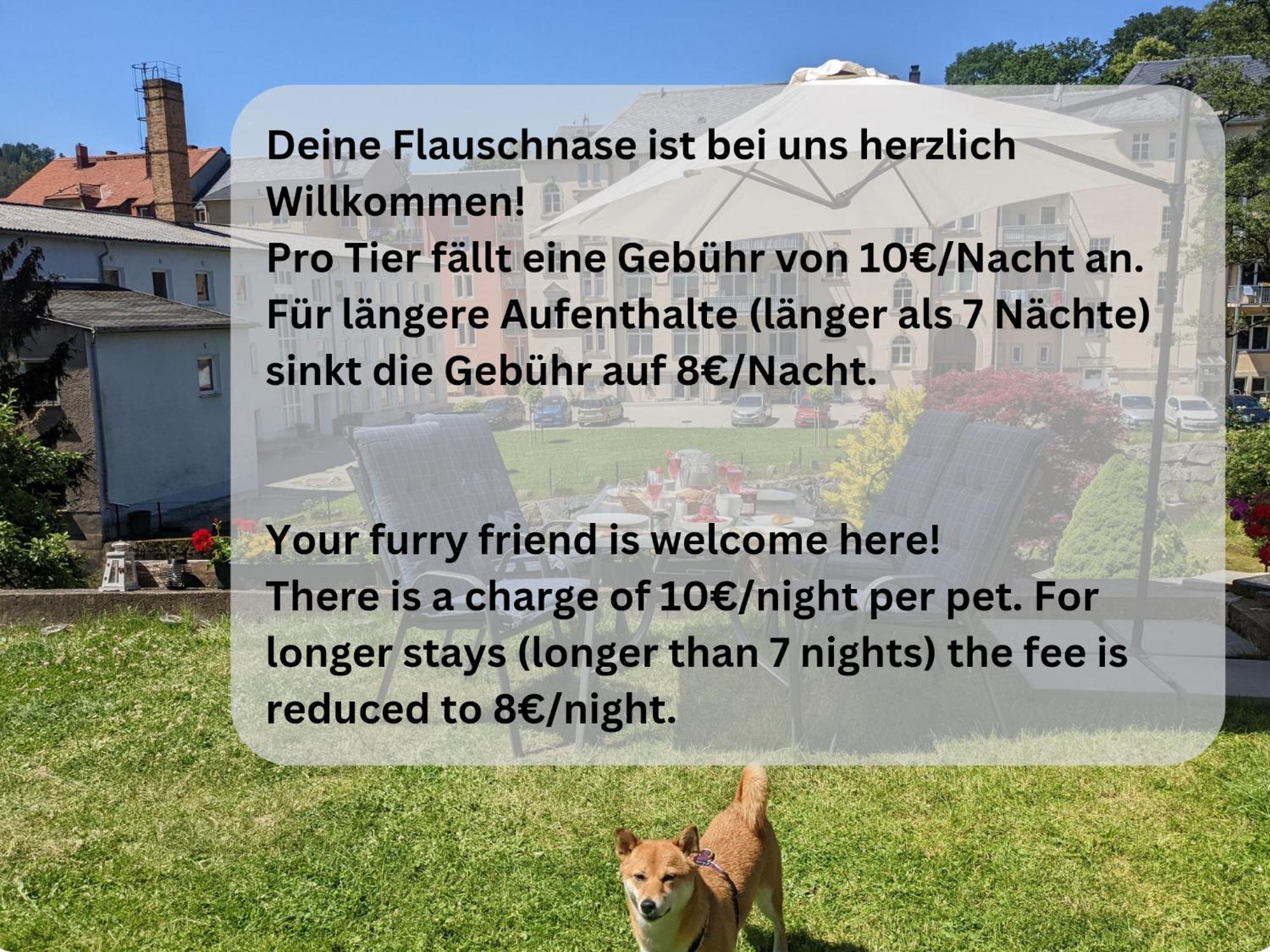 Hw2 - Urlaubsmagie - Sauna & Whirlpool Fuer Alle Sebnitz Eksteriør billede